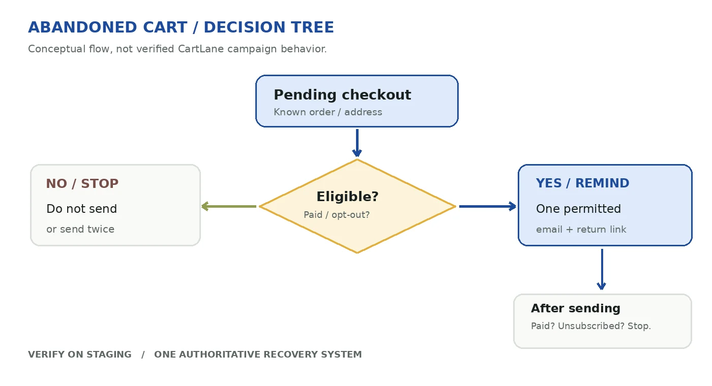 Conceptual decision tree showing eligibility, reminder sending and suppression for paid or unsubscribed customers